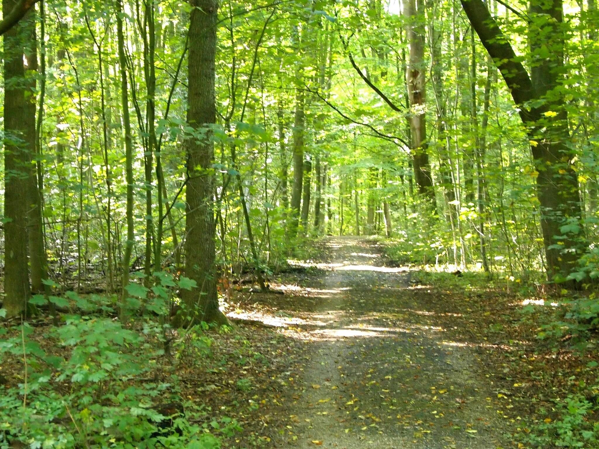 Instalaciones Recreativas Hotel Station Amstelveen