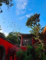 Alojamiento - Rong Hotel Nanluoguxiang Branch