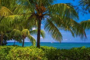 Alojamiento - Las Rocas Resort And Dive Center