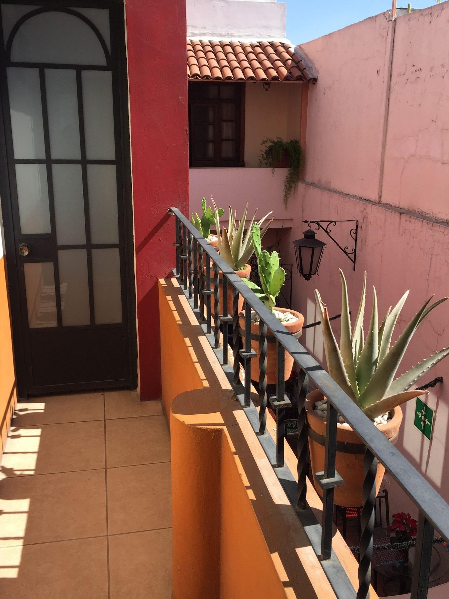 Varios Olga Querida Hostal - Hostel