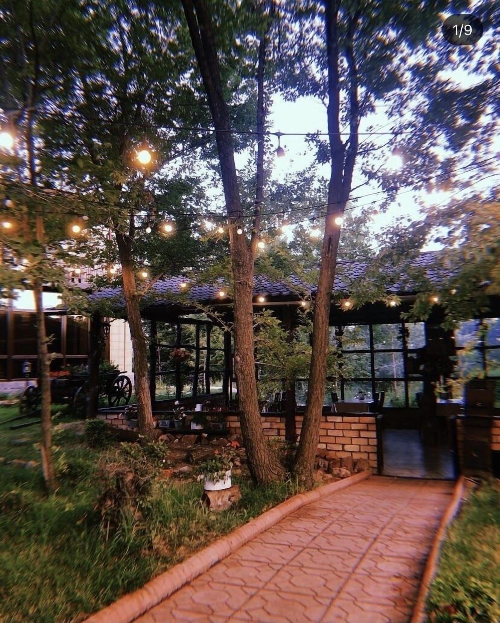 Vista Lobby Hotel Colorado