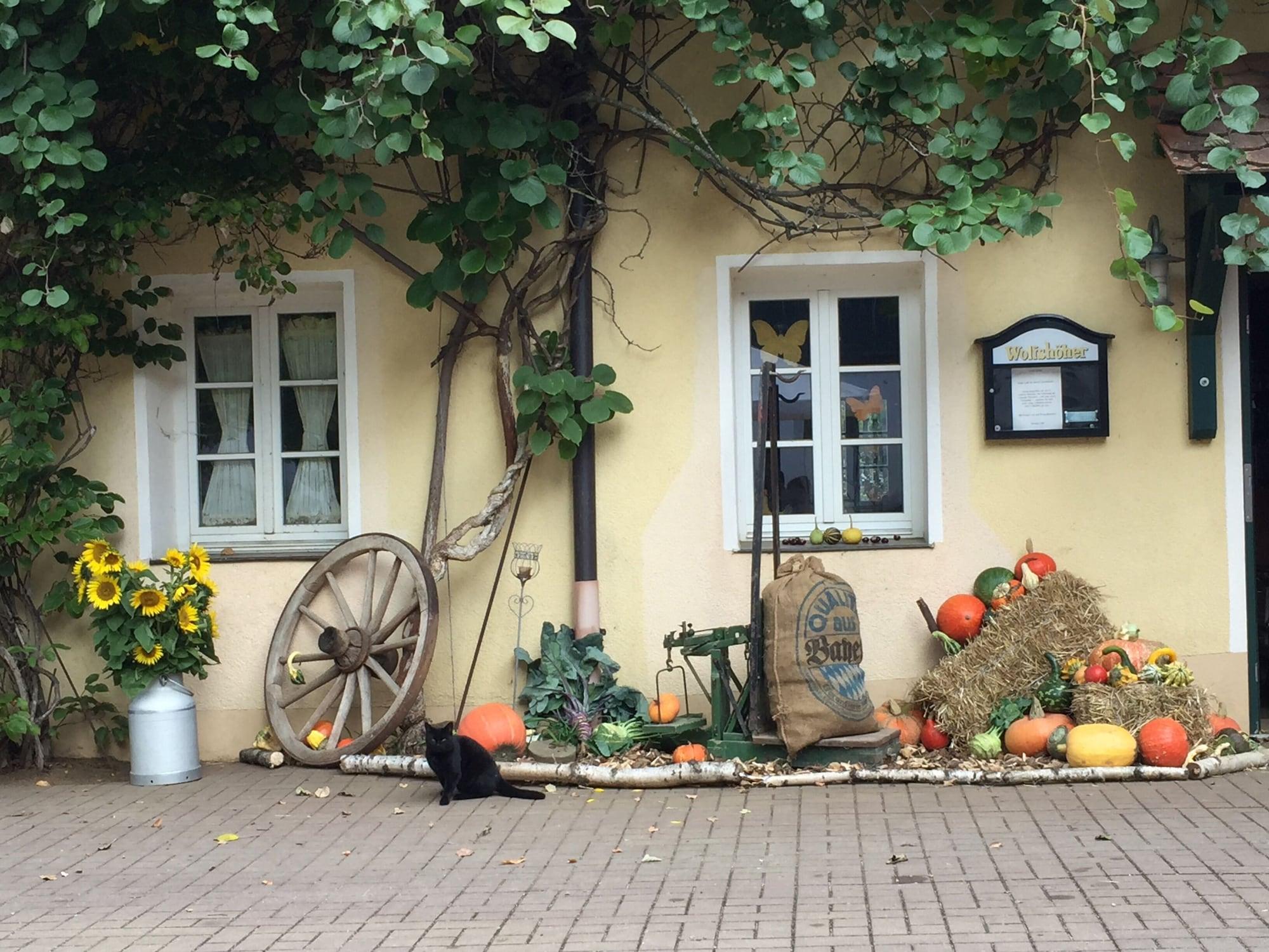 Vista Exterior Landpension Schmererhof