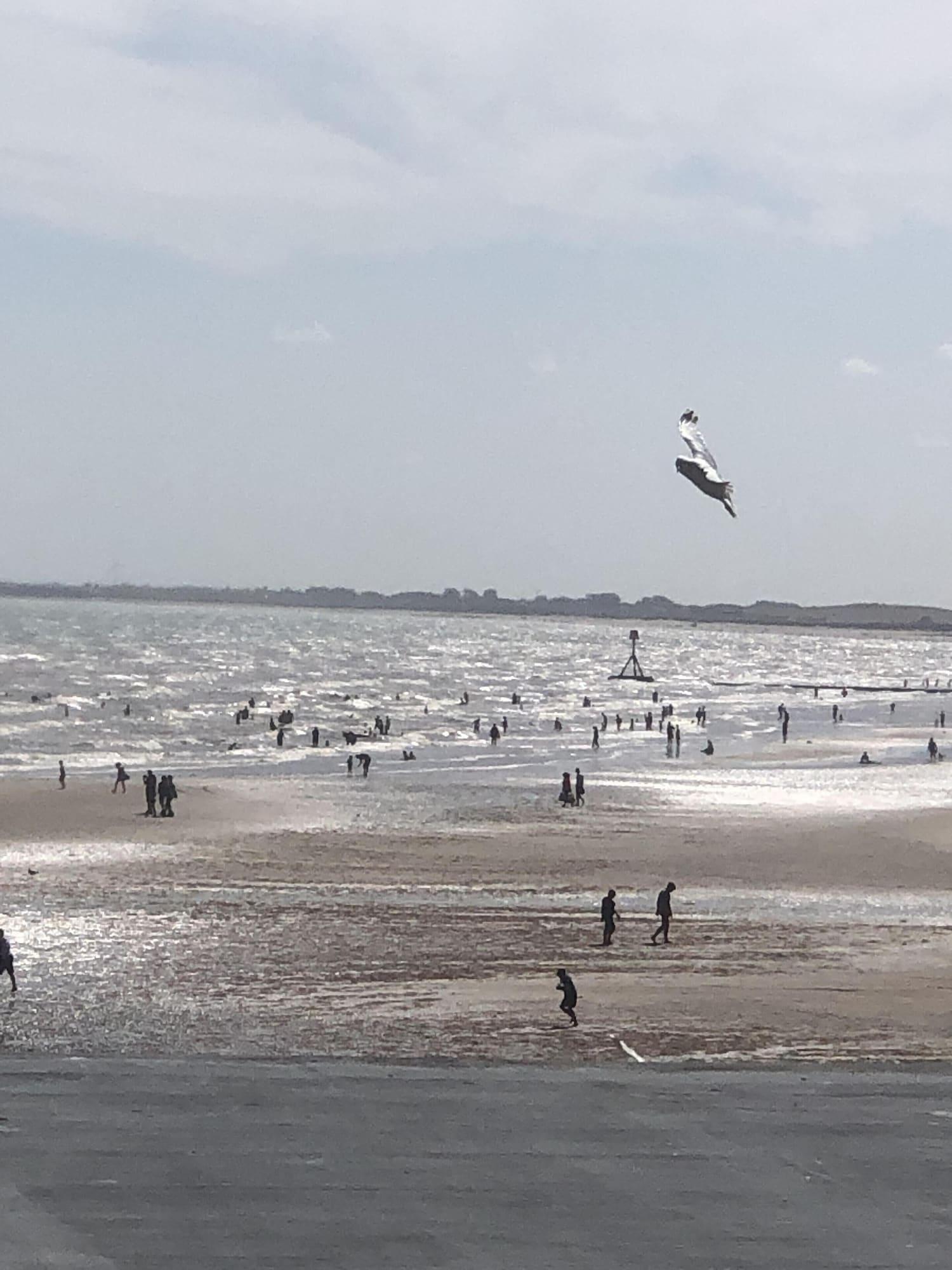 Playa Salt on the Harbour
