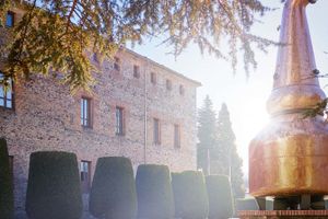 Actividad - Visita a la destilería DYC