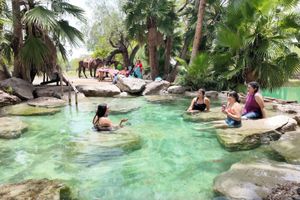 Alojamiento - Rancho El Charco