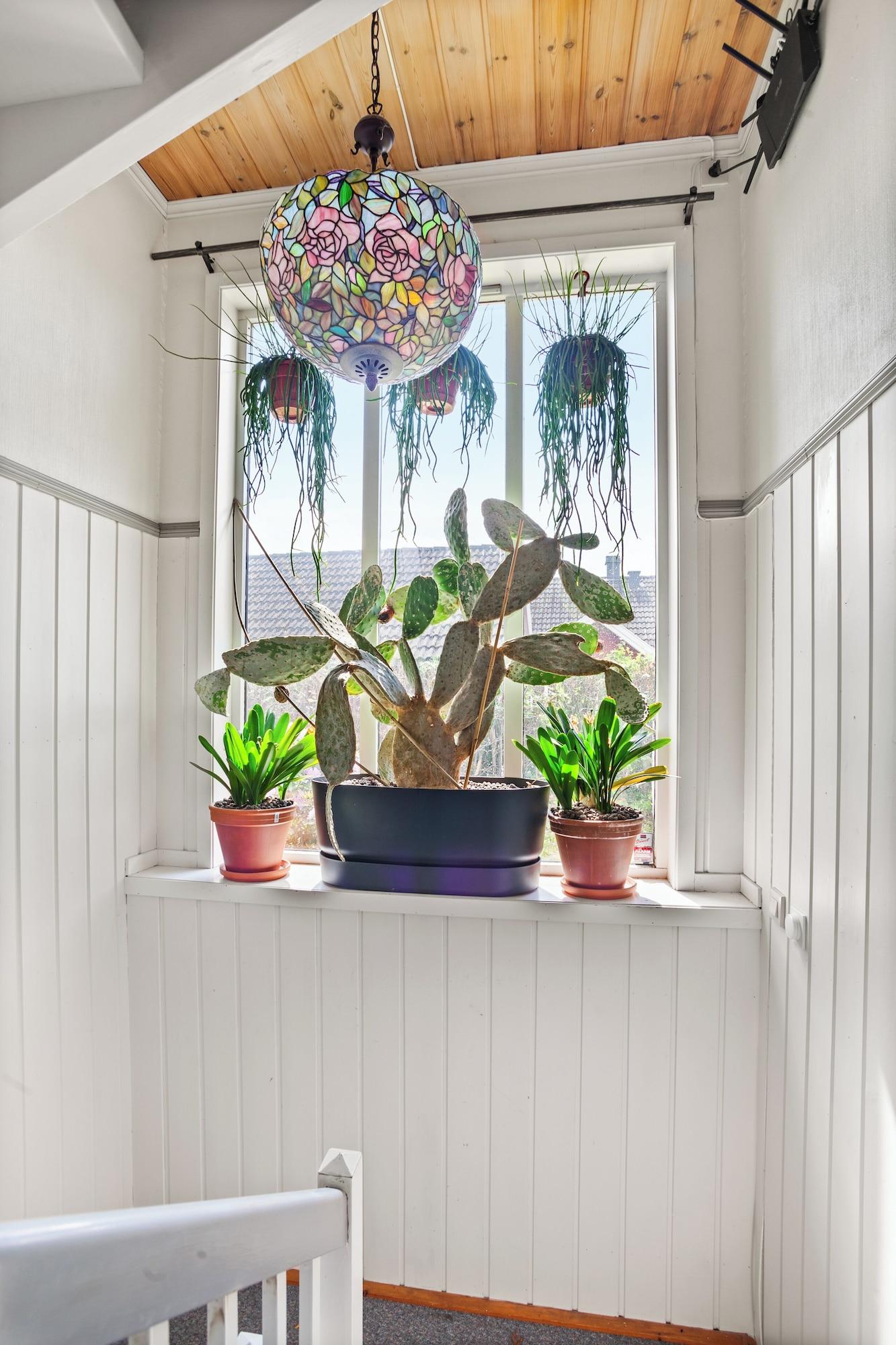 Vista Exterior Klara