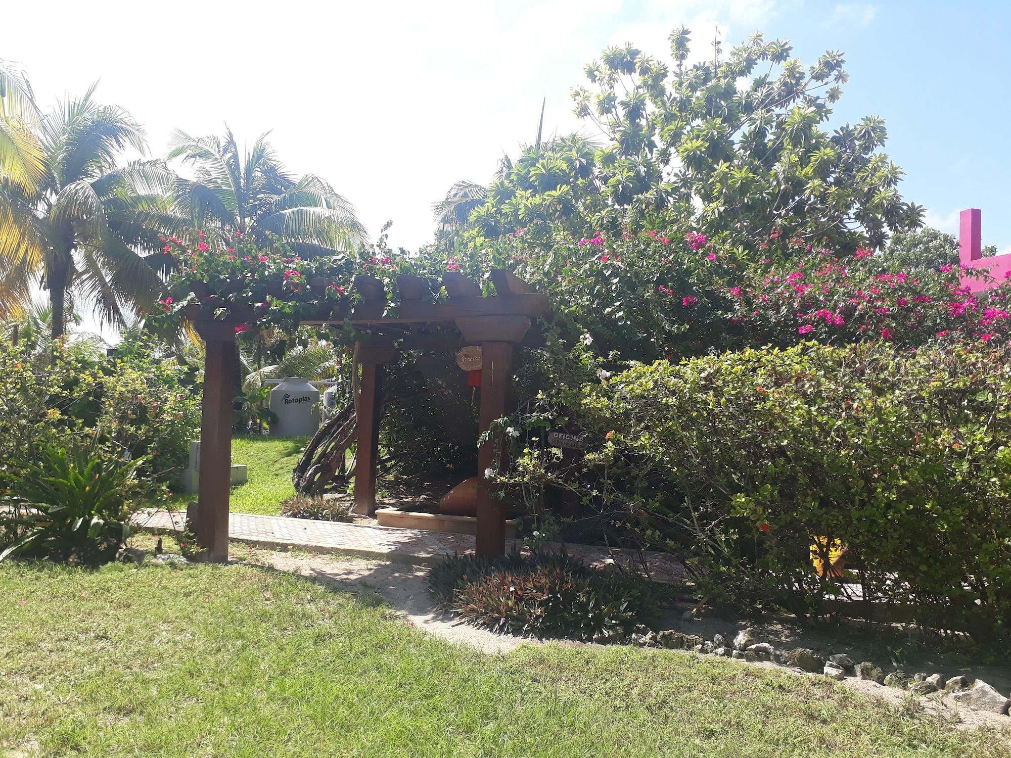 Vista Exterior Margarita del Sol Costa Maya