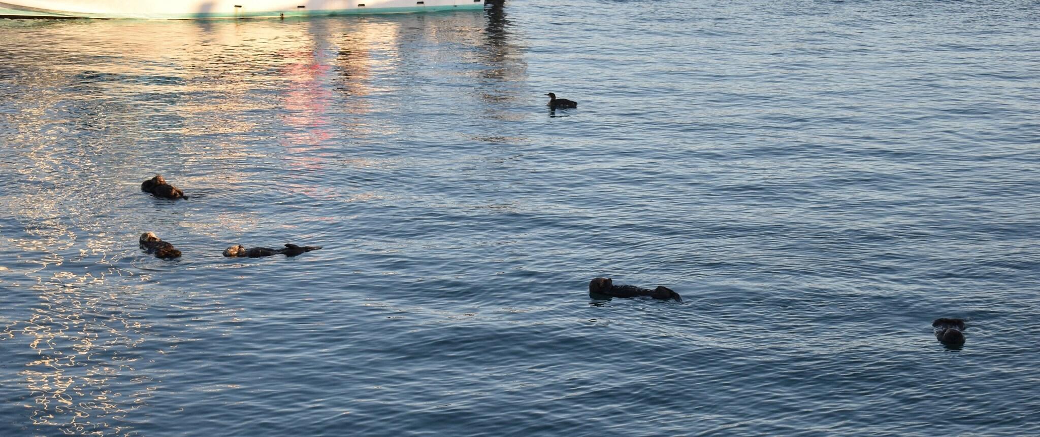 Instalaciones Recreativas Rockview Inn and Suites