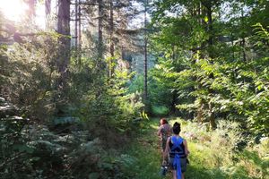 Alquiler Vacacional - Antoine's Gîte Regional Natural Park of the Ariège Pyrenees