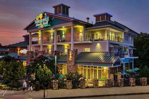 Alojamiento - Margaritaville Island Hotel