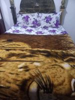 Alquiler Vacacional - Dutch History with  full Comfort  in fabulous Montego Bay and Tours to Portland.