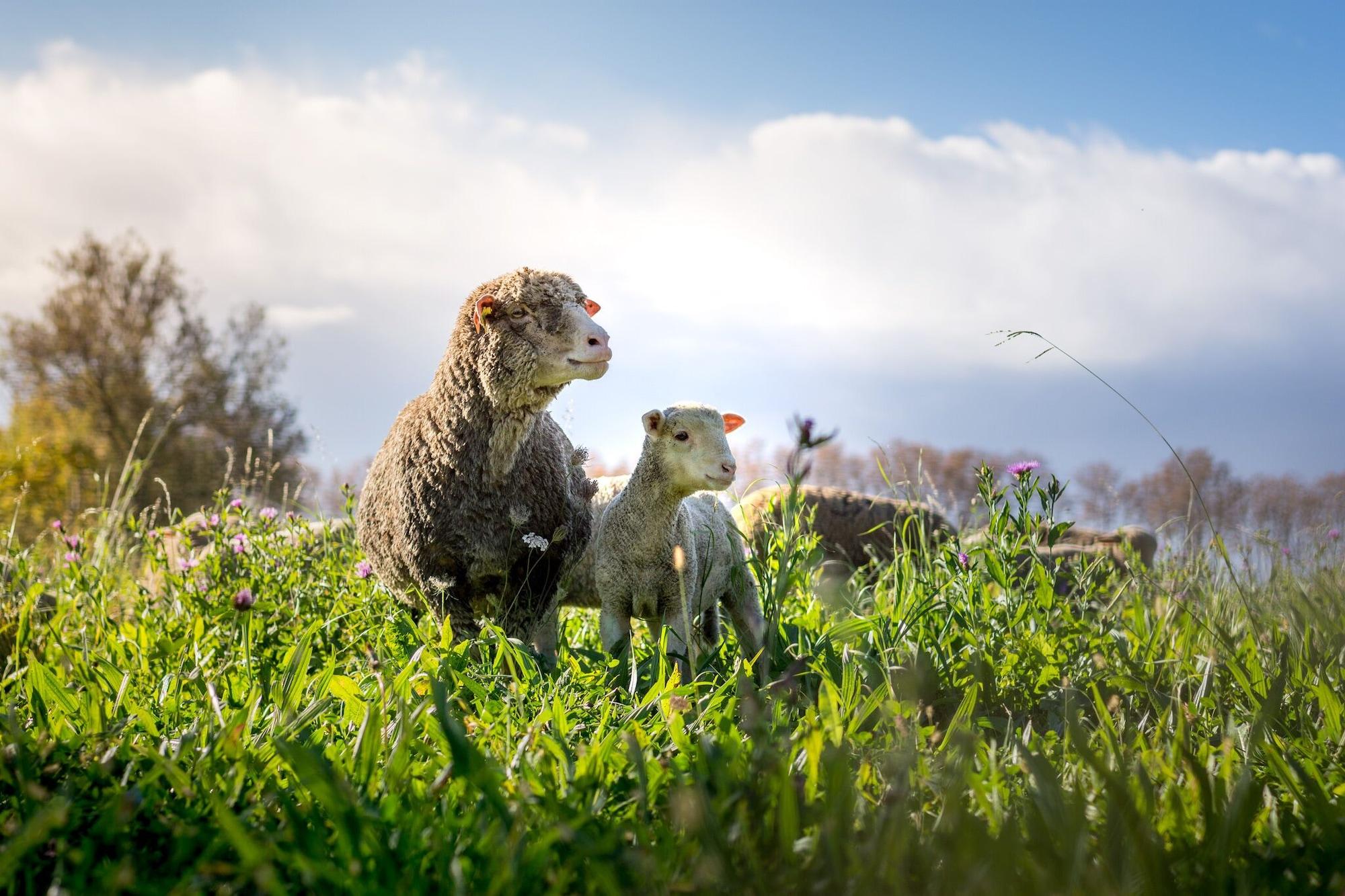 Vista Exterior Chambres D'hôtes Mas D'eymard