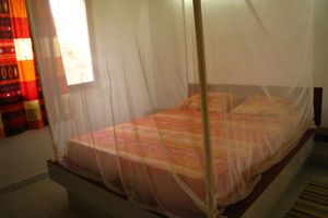 Alquiler Vacacional - In Somone (8 km from Saly). In a 3000 m² park with beautiful trees