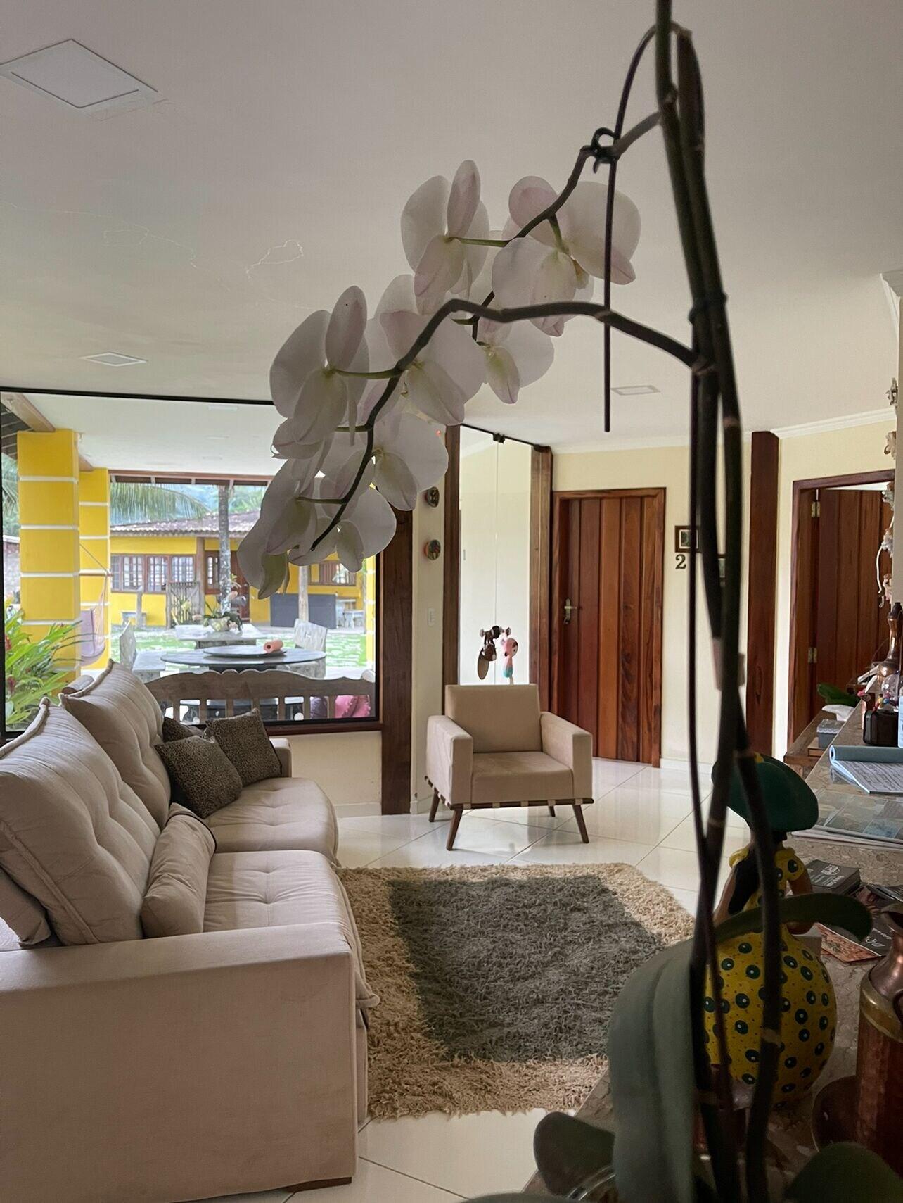 Vista Lobby Pousada da Chica