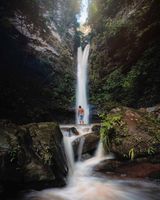Actividad - Grandeza de la Naturaleza: Escapada a las Cataratas de Ahuashiyacu