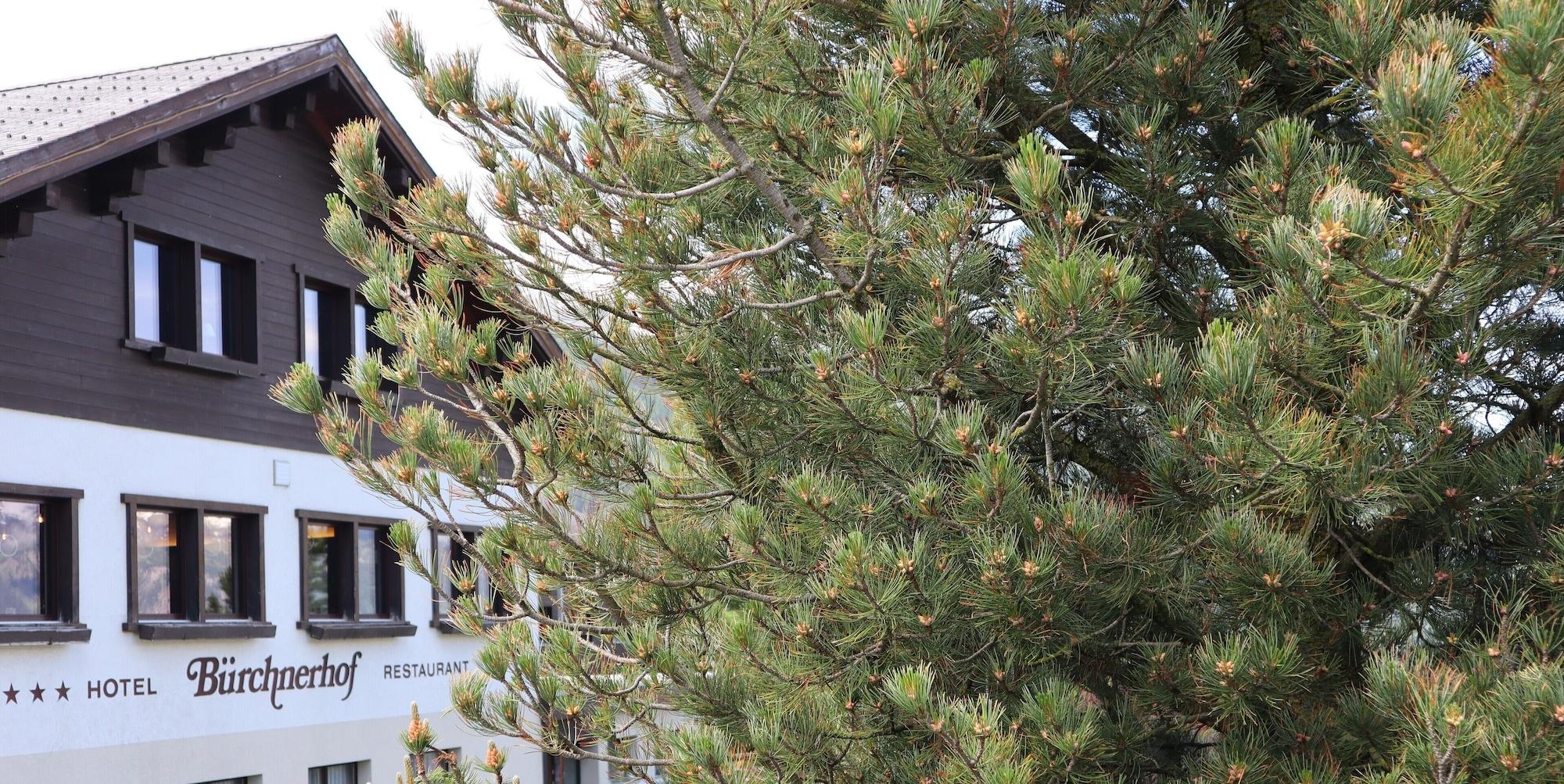 Vista Exterior Hotel-Restaurant Bürchnerhof