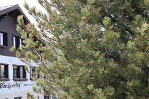 Alojamiento - Hotel-Restaurant Bürchnerhof