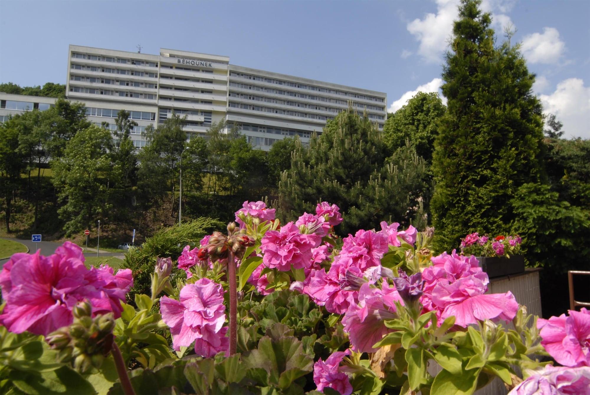 Vista Exterior Hotel Běhounek