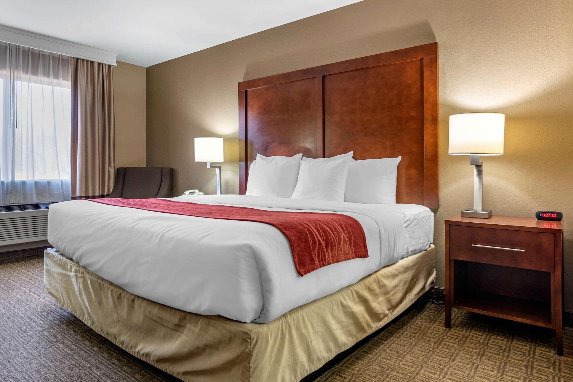 Habitación Comfort Inn & Suites Leeds I-20