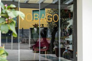 Alojamiento - Tobago Hotel