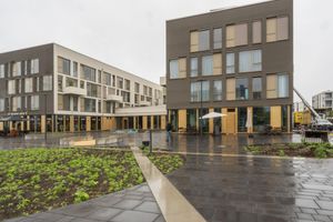 Alojamiento - Limehome Potsdam Annemarie-Wolff Platz
