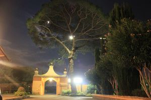 Alojamiento - Hotel Casale Certosa