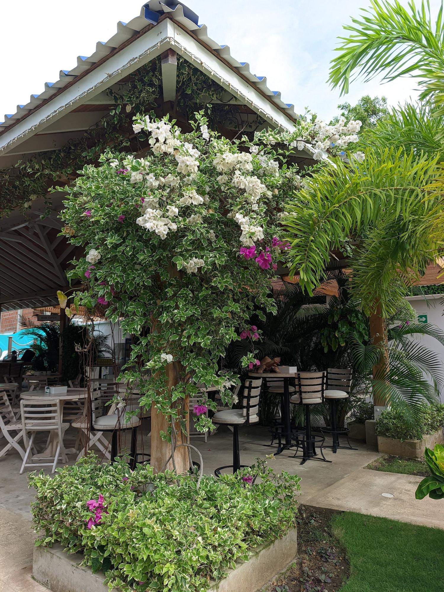 Restaurant Hotel oasis tolu boutique