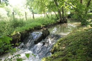 Alojamiento - Château de Nieuil