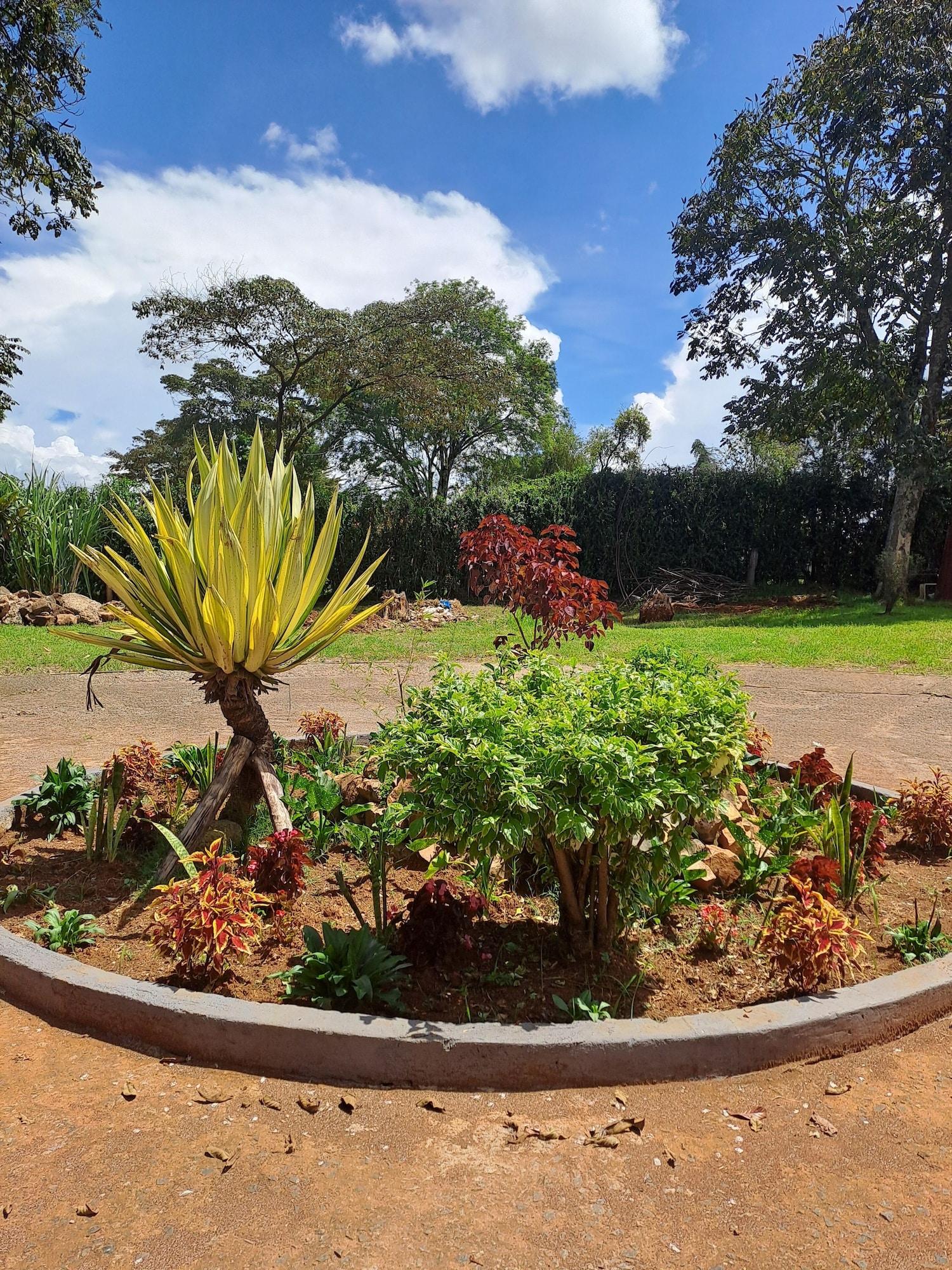 Varios The Yala Home