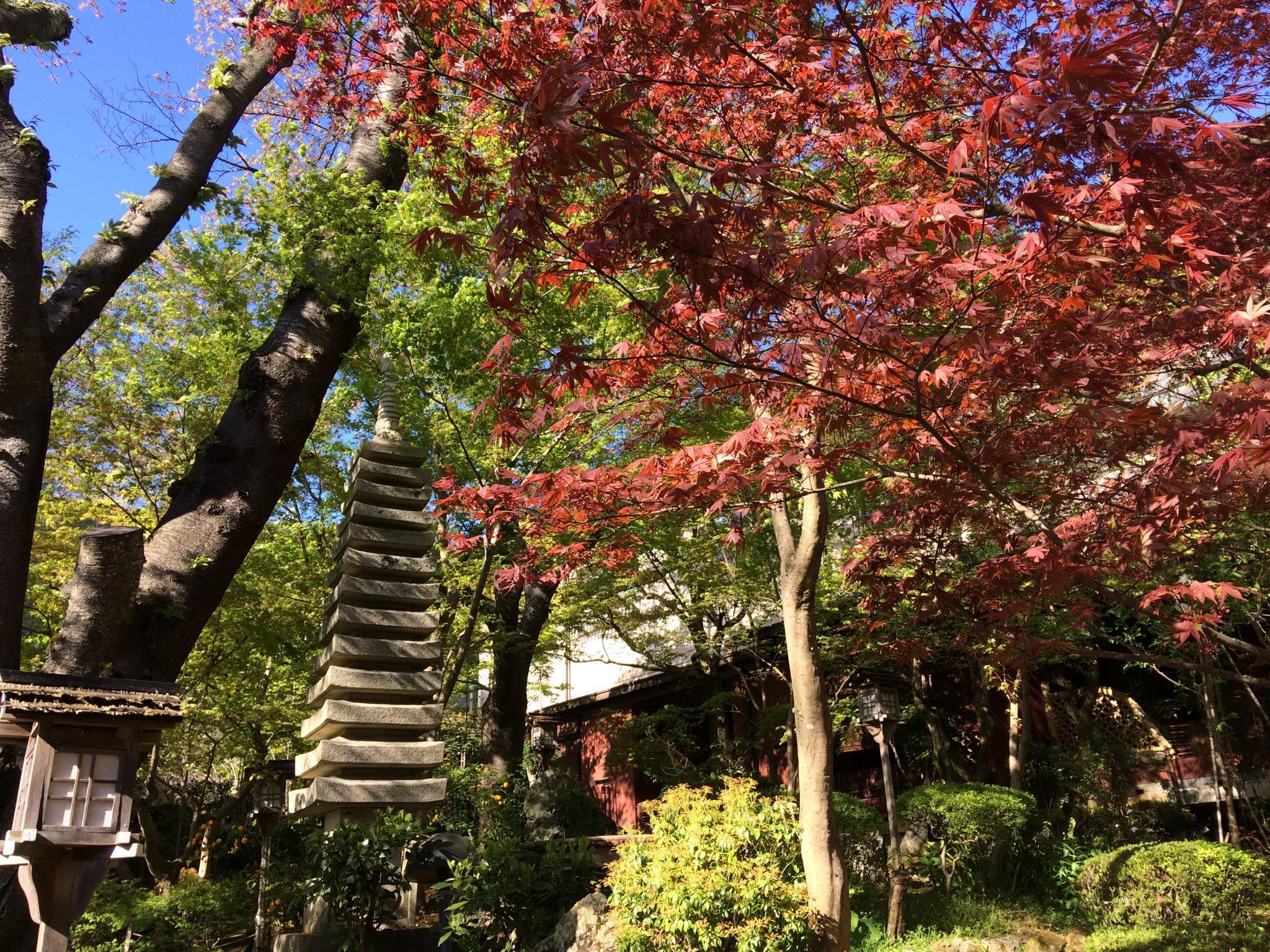 Vista Exterior Ryokan Nenrinbo