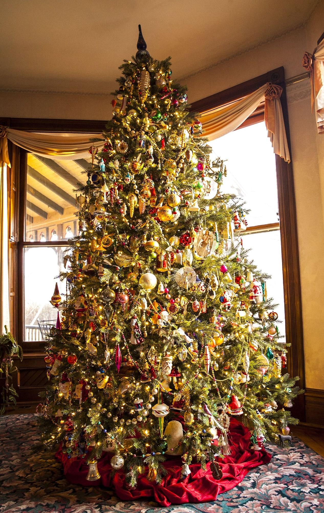 Vista Lobby Squiers Manor B&B