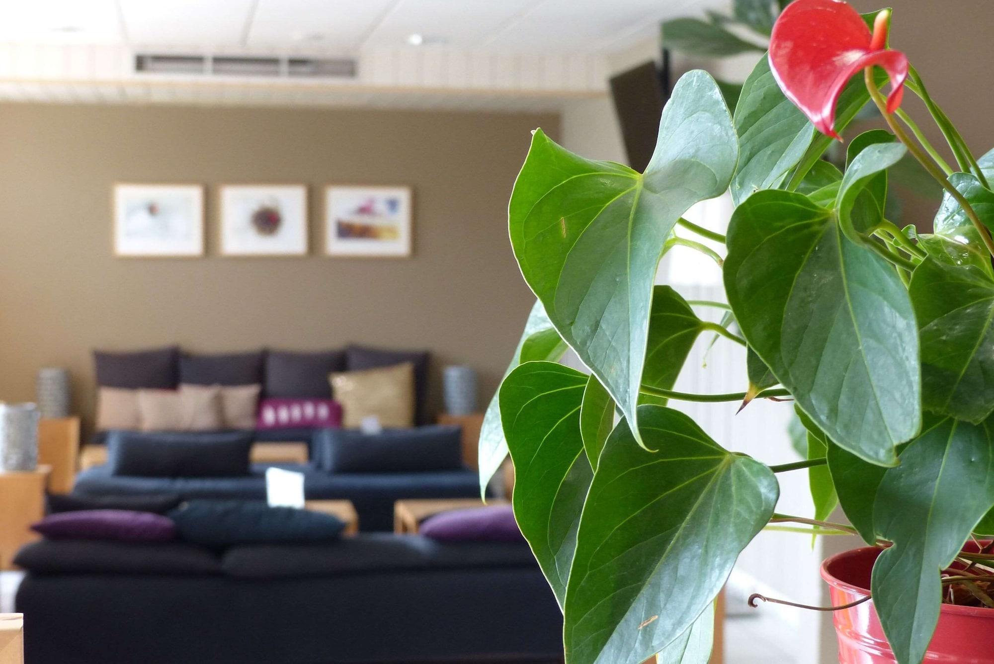 Varios ALS Hotel