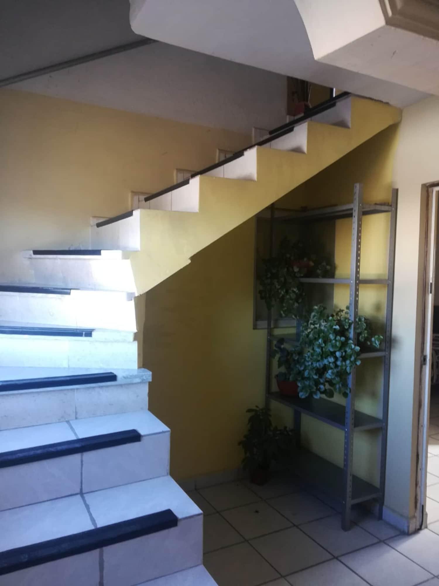 Varios Hotel Paseo