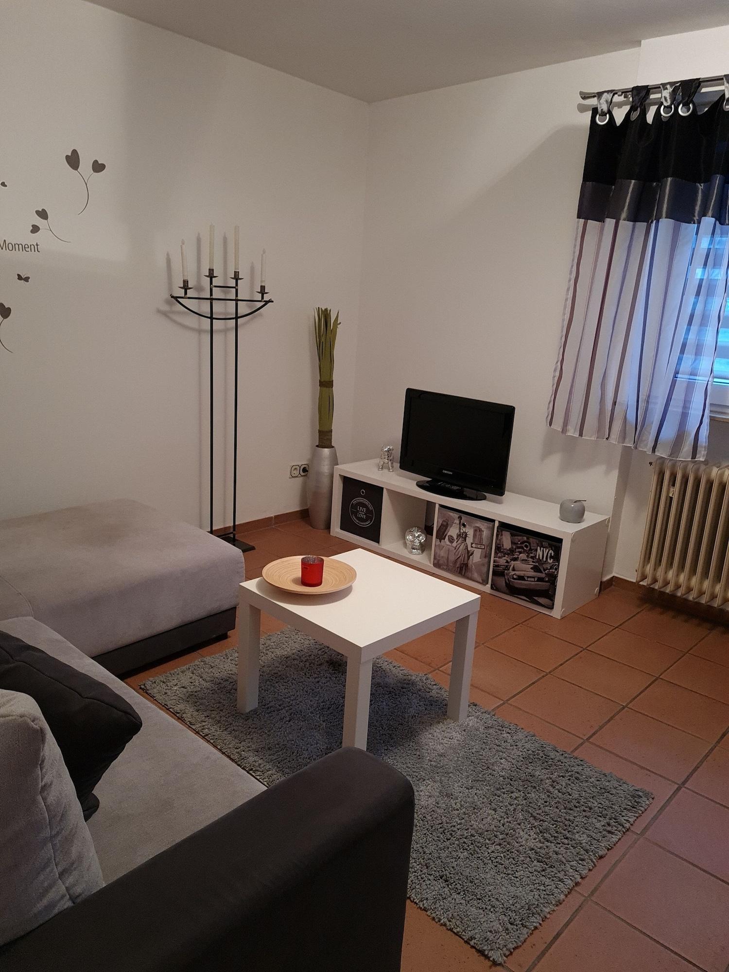 Comodidades del Alojamiento AP Hotel Mannheim Viernheim