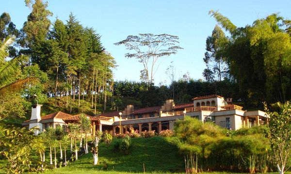 Pinares