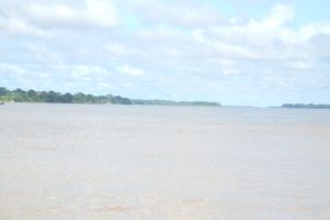 Actividad - Puerto Nariño Islade los micos y Comunidad indígena