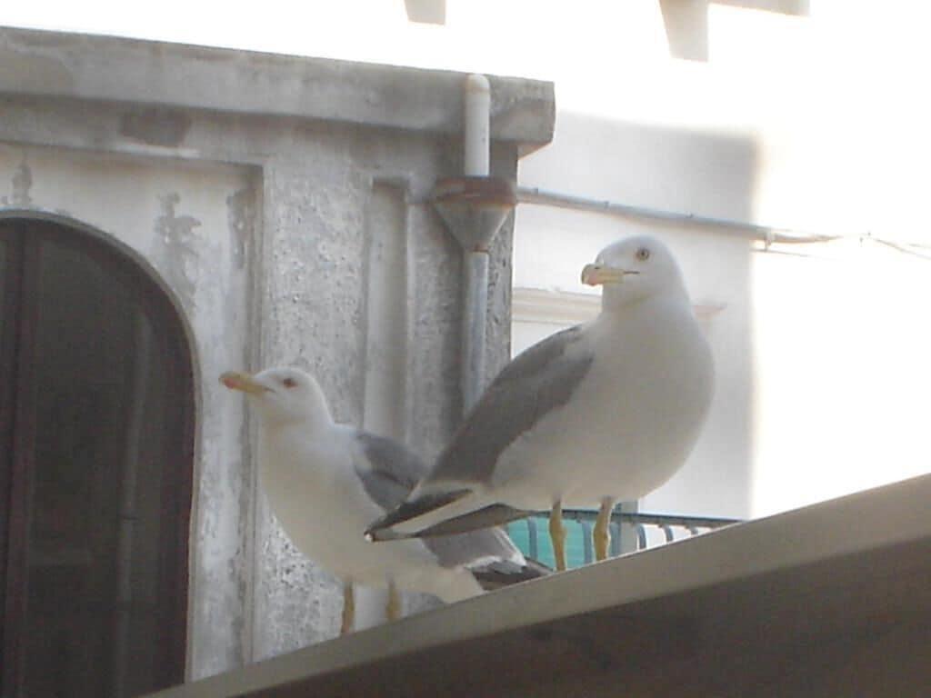 Vista Lobby Locanda Al Castello