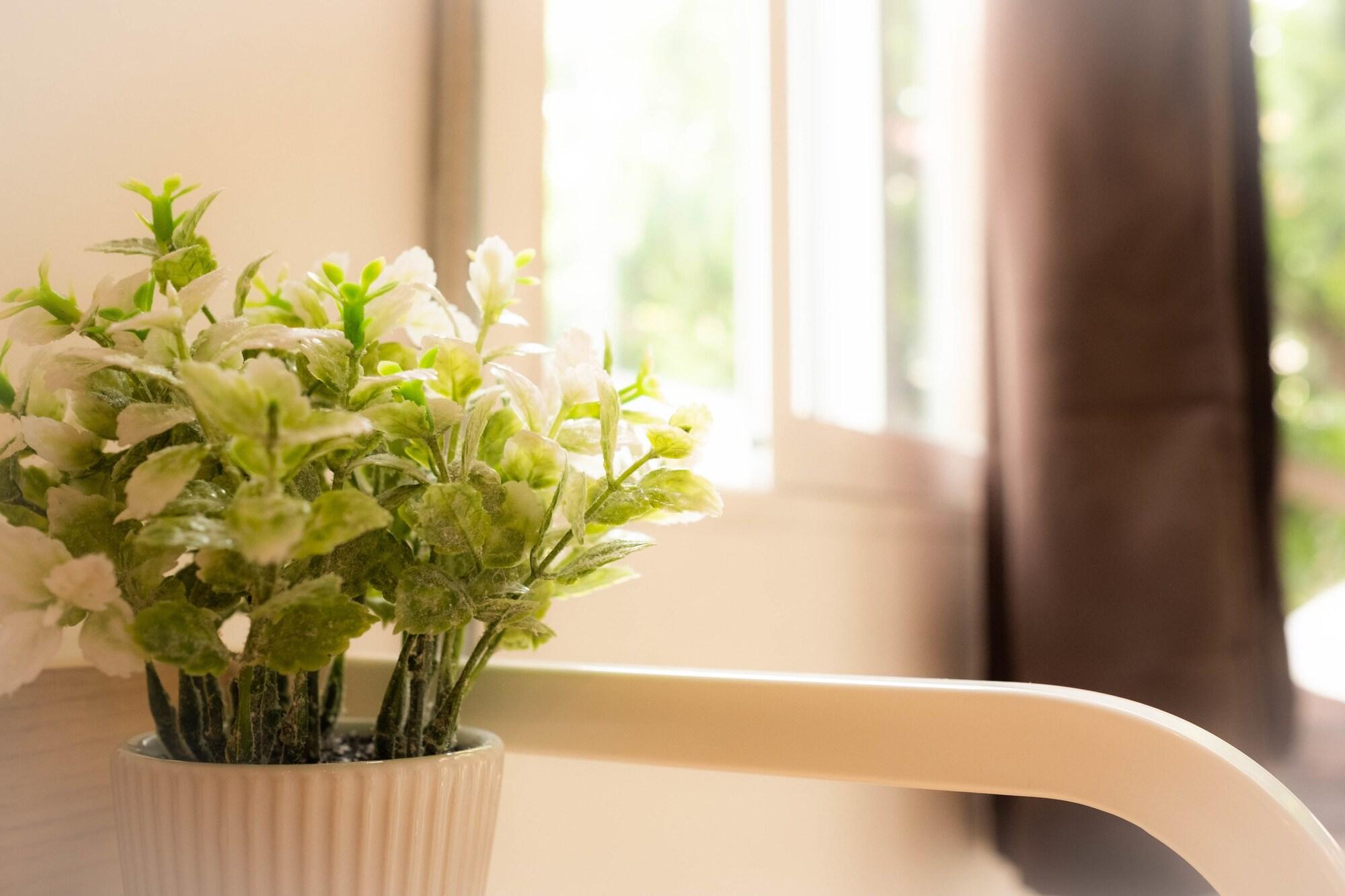 Comodidades del Alojamiento The Old Car