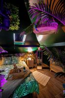 Alquiler Vacacional - Dynasty Jungle Home Spa Jacuzzi