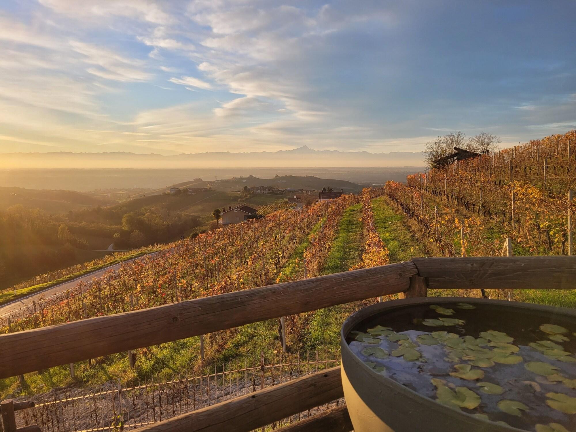 Varios Assiolo Relais