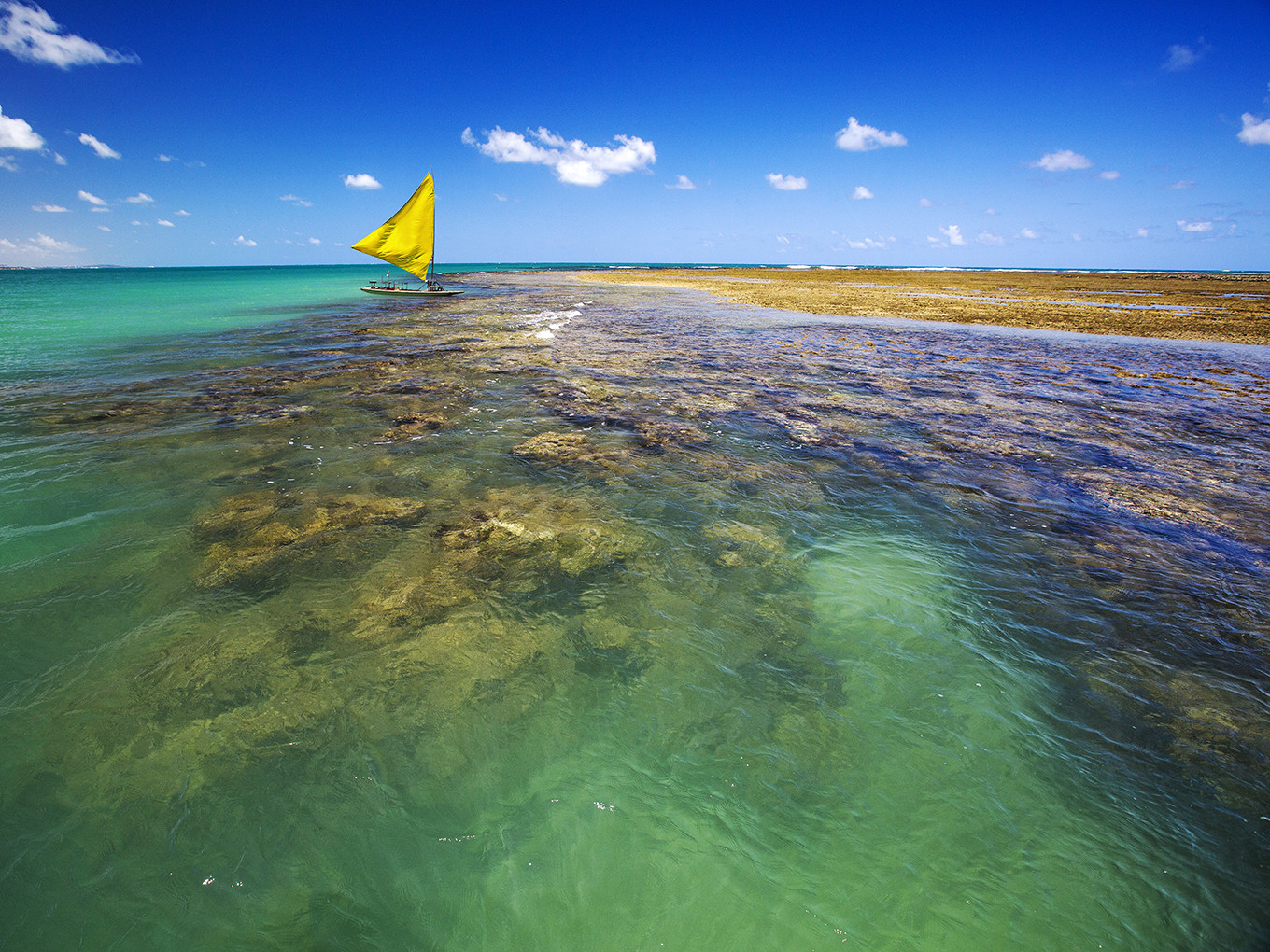Porto de Galinhas