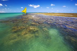 Pacote - Pacotes para Porto de Galinhas