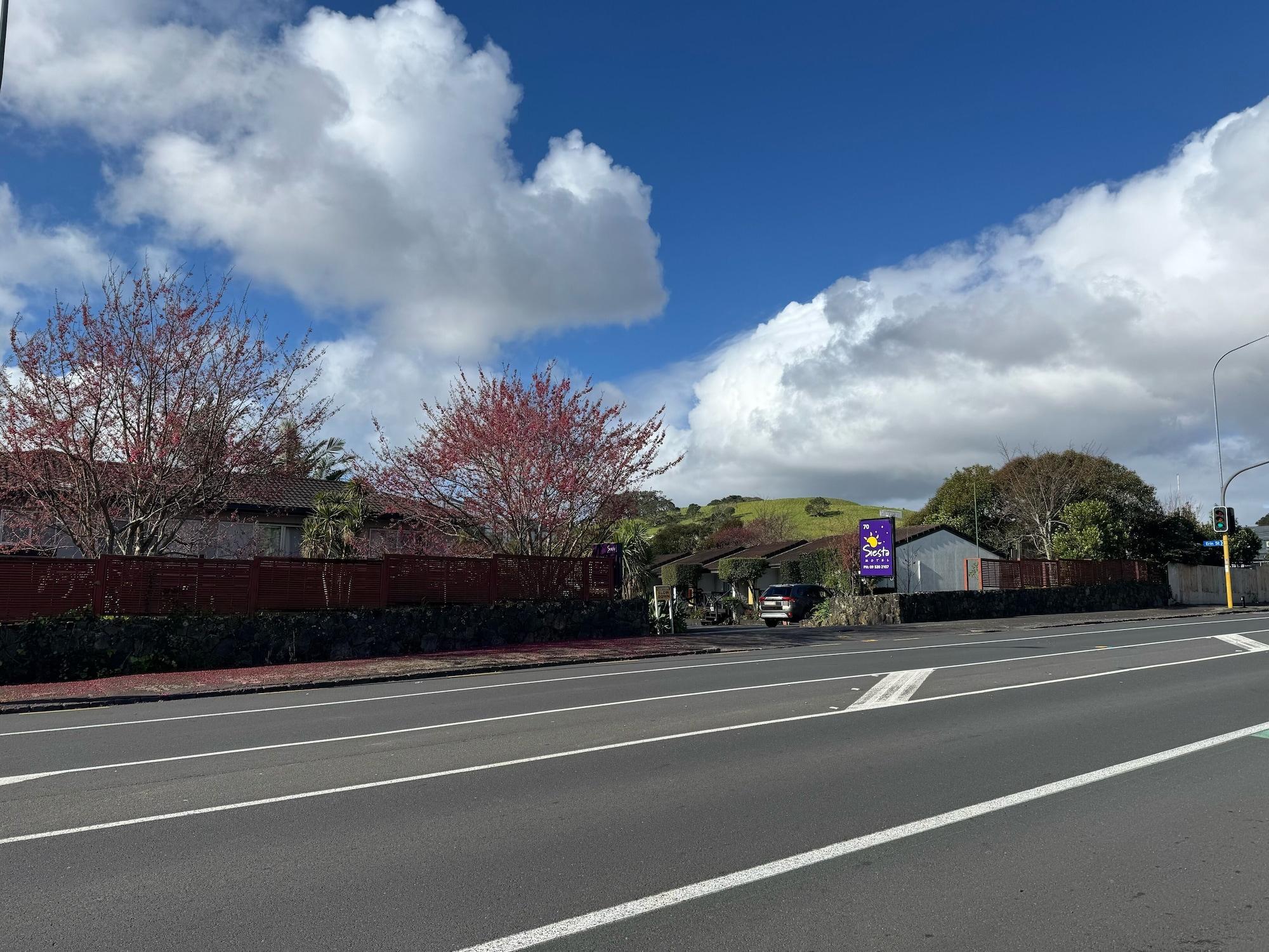 Vista Exterior Siesta Motel