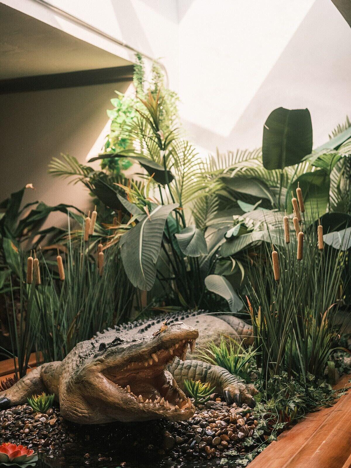 Vista Lobby Hotel Crocodile & Crocodile Music Venue