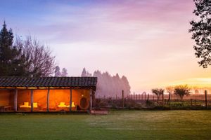 Alojamiento - Noi Blend