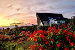 Alojamiento - El Resort de Yanashpa - Tarapoto