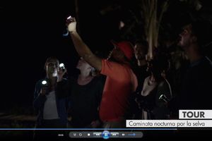 Actividad - CAMINATA NOCTURNA EN MUNDO AMAZONICO