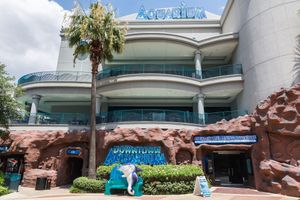 Alquiler Vacacional - West End in SW Houston, Sleeps 10, Work-cation, King Bd, Pet, High Speed Wifi