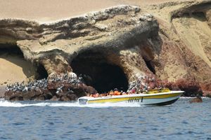 Actividad - FULL DAY PARACAS: ISLAS BALLESTAS + RESERVA DE PARACAS