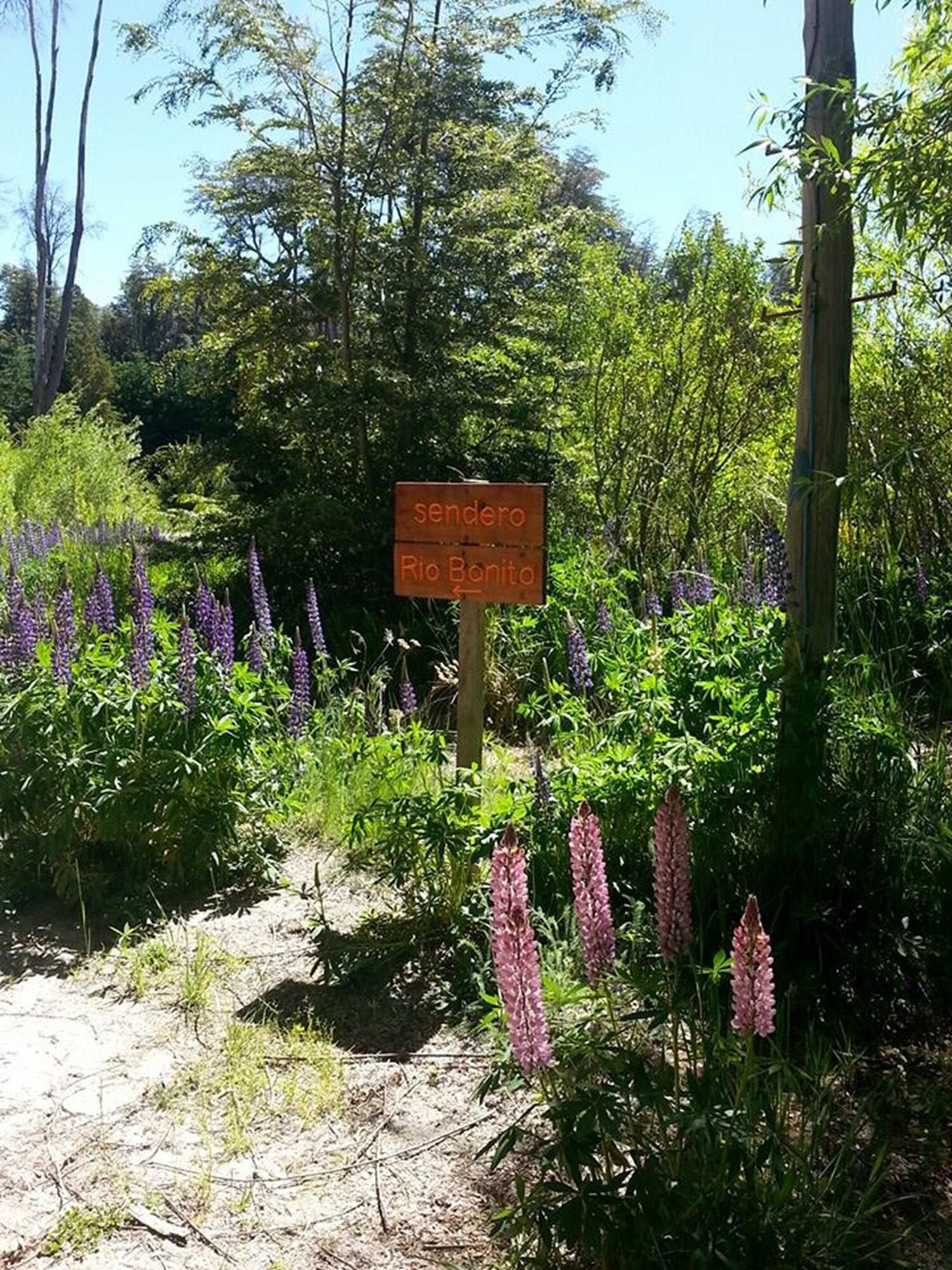 Instalaciones Recreativas Arcanos Casa de Montaña